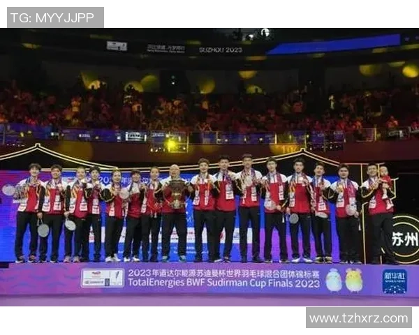 杭州羽毛球队在奥运会上的技术表现分析与点评