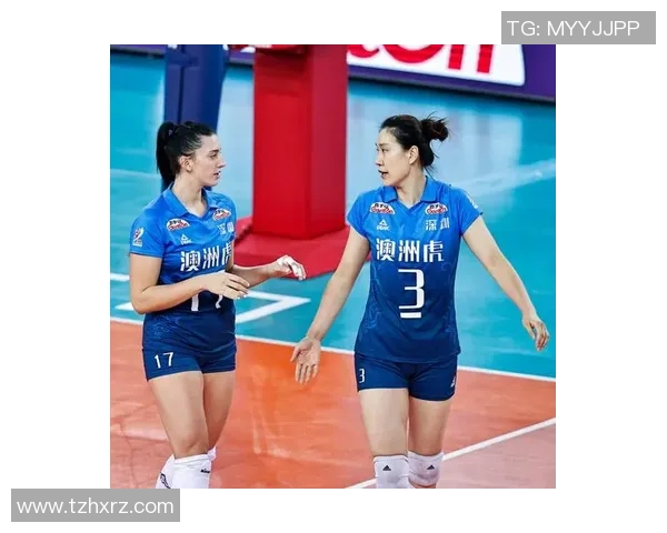 深圳排球队在城市联赛中以84分稳居榜首展现强劲实力