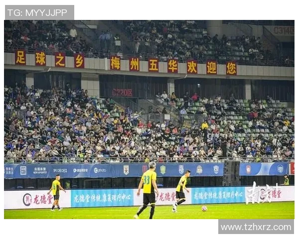 广东足球明星代言费用揭秘及其对品牌推广的影响分析