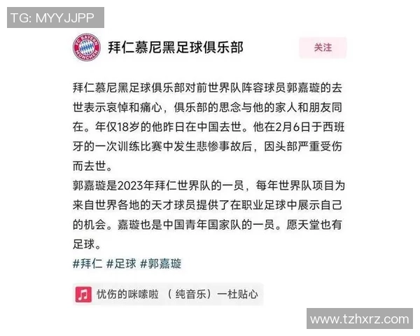 沈阳足球之星汇聚一堂揭秘沈阳籍足球明星的辉煌成就与传奇故事